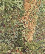 Albert Joseph Moore,ARWS Study of an Ash Trunk (mk46) USA oil painting artist
